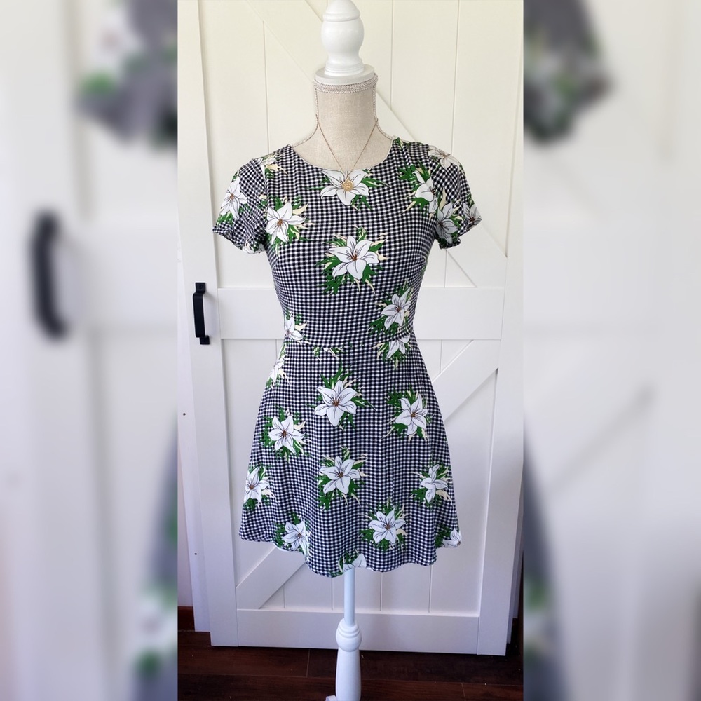 Picnic Plaid Dress - Lulu’s SZ SMALL skater dress